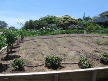 This is an example of how a Disposal Field should not look.