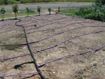 Wright Tanks Ltd will never install a Disposal Field looking like this.