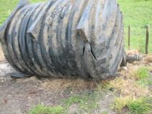 A 7 year old Septic Tank Replacement. The warranty was useless.